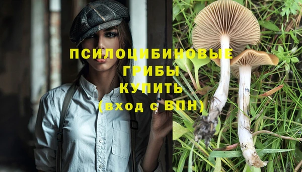 гидропоника Волоколамск