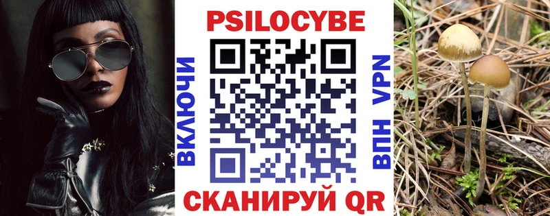Купить закладки  Бутурлиновка  Галлюциногенные грибы мухоморы 